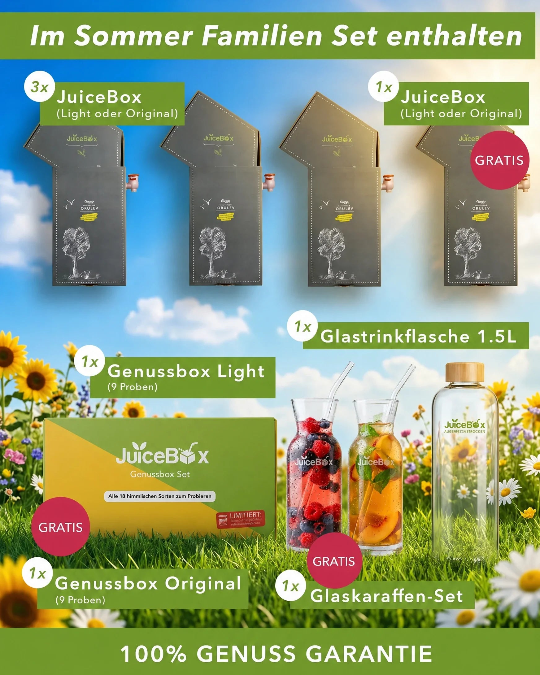 JuiceBox™ Sommer Familienset mit Karaffenset