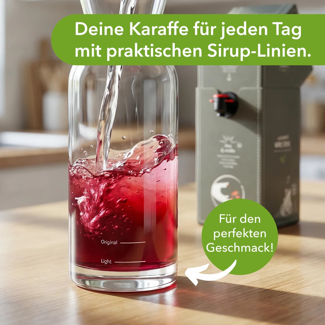 JuiceBox Glaskaraffen Set - 2x 600ml