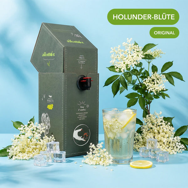 HOLUNDER-BLÜTE
