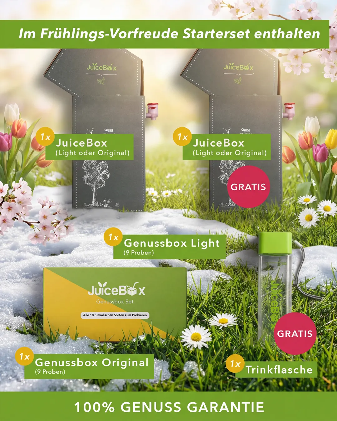 JuiceBox Neujahrs-Starter-Set